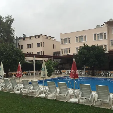 Отель Korient